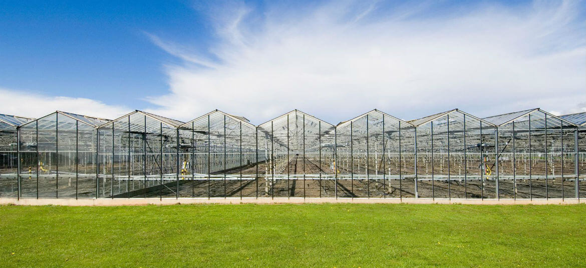 commercial-greenhouses-2