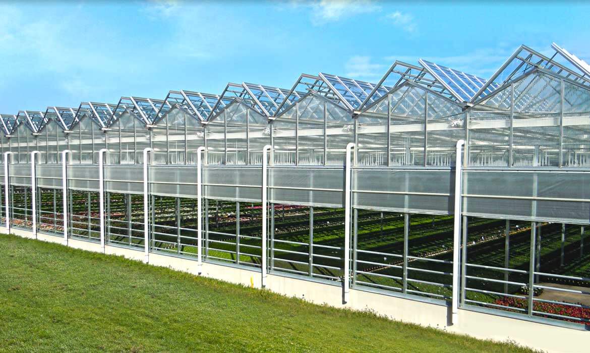 commercial-greenhouses